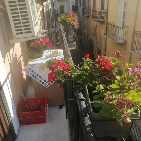 Casa Ligia Aurora * باليرمو